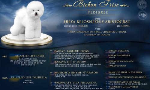 Freya Belosnezhniy Aristocrat